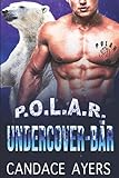  Undercover-Bär
