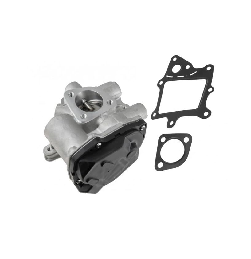 Valvola EGR Ricircolo Gas di Scarico 2.3 D 3.0 D per Jumper II Ducato III Boxer Reambio OEM 71795127 504373660 71795169 71795170 162645 V24630030 717730165