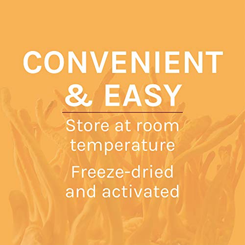 Host Defense, Cordyceps Powder, Supports Energy, Stamina And Athletic Performance, Mushroom Supplement, 3.5 Oz, Plain #TOP7