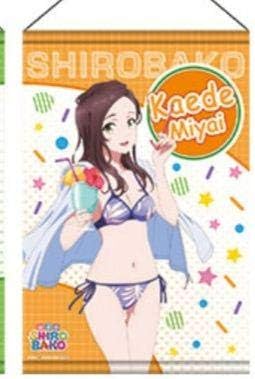 Amazon Co Jp 宮井楓 Shirobako ドンキ ホーテ コラボ B2タペストリー ホビー 通販