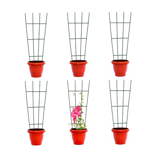 Image of Urban Plant Greenweave Trellis for Climbing Plants (24 Inch) | Metal Plant Support for Money Plant, Ivy, Creepers & Vines | Powder Coated Weather Resistant Plant Climber Support (Green Pack of 6)