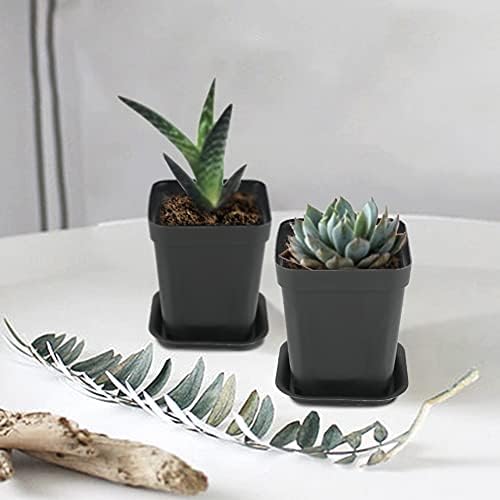 KINGLAKE 24Pcs Plastic Square Plant Pots with Trays, 7cm Thick Seed Seedling Pots, Small Black Nursery Flower Pots for Vegetables Cuttings Succulent Cacti