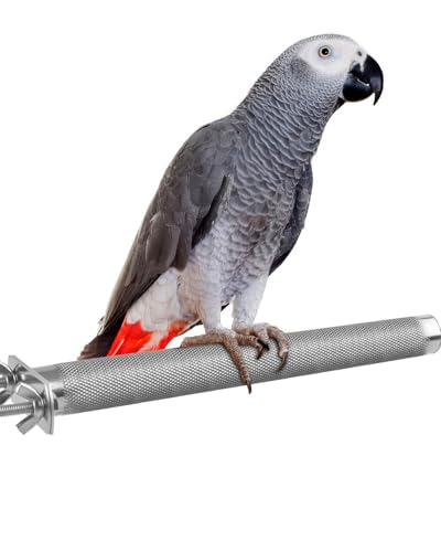 KATUMO Bird Perch - Stainless Steel - Rough Surface Stand for Small to Medium Parrots (9.8 x 1.0 inch)