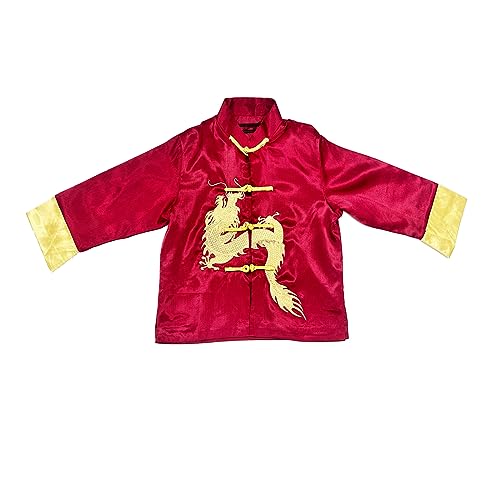 Image of Kids Boys Traditional Chinese Kung Fu Outfit Embroidery Dragon Tang Uniform Martial Arts Suits