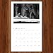 Ansel Adams 2026 Wall Calendar: Authorized Edition (Monthly Calendar)