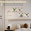 Adesivi Murali Piante, 4 pz Realistico Verde Pianta In Vaso Impermeabile Wall Art Adesivi 3D Vinile Rimovibile Wall Sticker per Soggiorno Camera da Letto Bagno Cucina Decor Ufficio #4