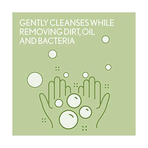 Aveeno Daily Moisturizing Body Wash with Soothing Oat Creamy Shower Gel (Soap Free and Dye Free/Light Fragrance), 33 Fl Oz