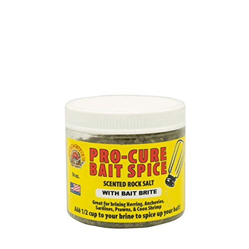 Pro-Cure Bait Spice Scented Rock Salt, with Bait Brite, 16 Ounces