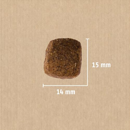 Christopherus Senior, Vollnahrung für den älteren Hund ab dem 6. Lebensjahr, Trockenfutter, Geflügel, Lamm, Ei, Reis, Krokettengröße ca. 1 cm, Älterer Hund, 12 kg