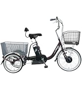 Amazon | 【100%完成車納品】 PELTECH(ペルテック) 電動アシスト自転車
