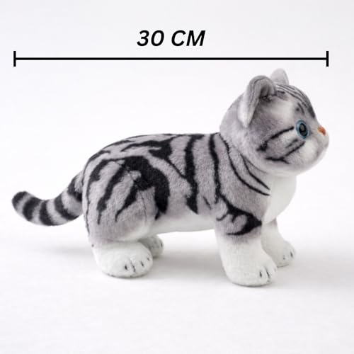 Image of FuzzyTales Cat Plush Toy 30cm | Stuffed Plush Animal for Kids & Adults | Kawaii Cute Cat Toy for Cuddles, Gifts & Room Decor | for Birthdays, Valentine's Day, New Year, Christmas (Grey&Black, 30 cm)