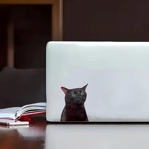 Calcomanías de gato negro impermeables y troqueladas de 6 pulgadas para carrocería 4