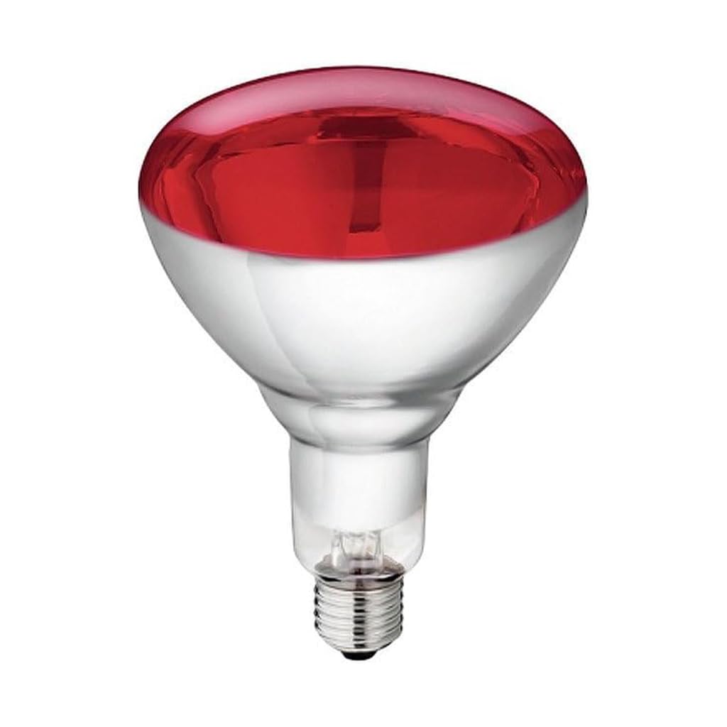 Philips IR150RH BR125 230-250V E2 Landwirtschaft. Lebensmit