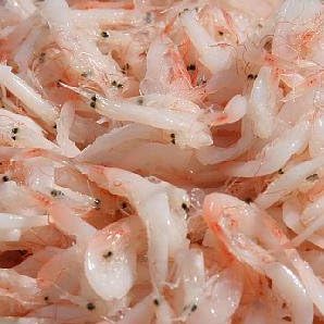 Amazon ケーマート アミ塩辛 1kg 韓国産 ケーマート 塩辛 珍味 通販