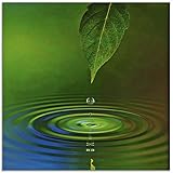 ARTLAND Glasbilder Wandbild Glas Bild einteilig 30x30 cm Quadratisch Natur Wellness Zen Entspannung Wasser Wassertropfen Blätter Grün T5TK