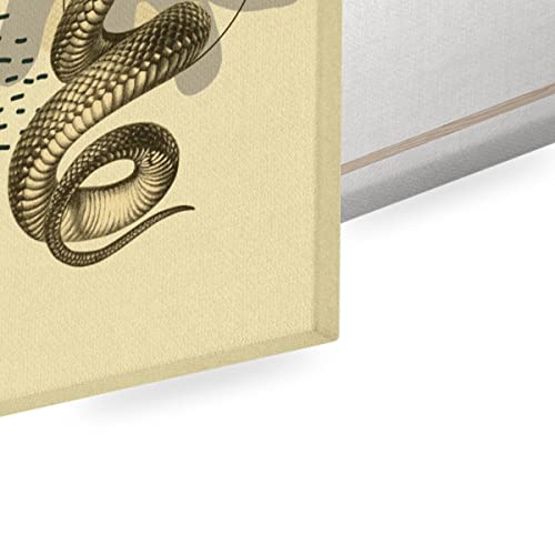 Illustration Serpent Noir Toile pour Murs Vides Affiche Biologie