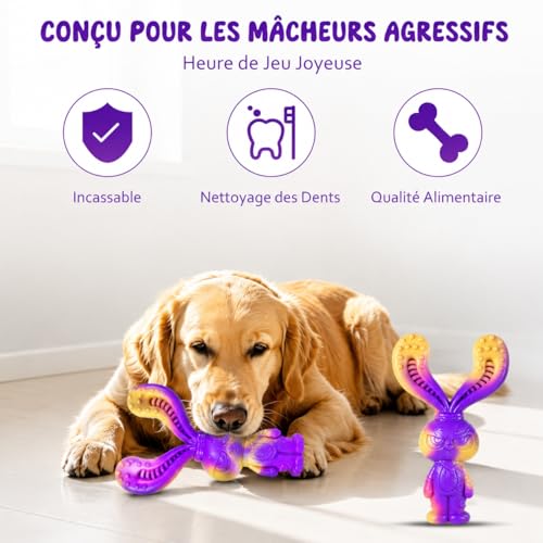 Vignette produit