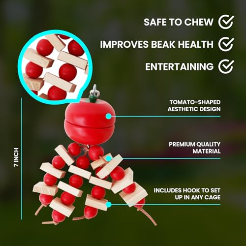 Image of Bird Toys Parakeet Toys 2 Pack - Bird Chew Toy + Bird Swing - Tomato Shaped Foraging Toy for Conures, Parrots, Cockatiels - Small and Medium Birds