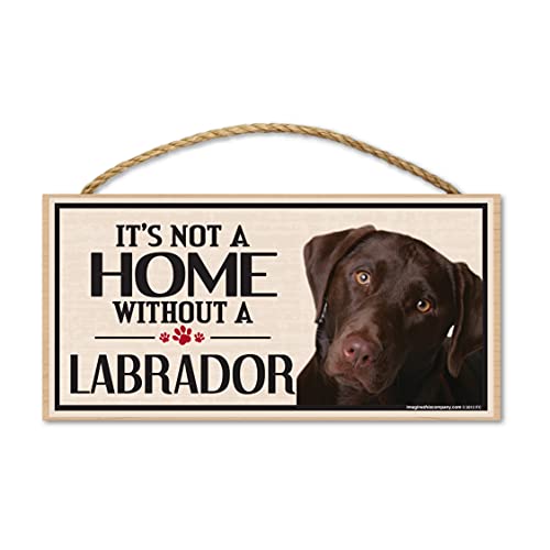 Image of Imagine This Wood Sign for Chocolate Lab Dog Breeds