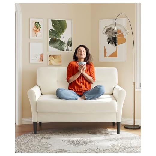 Domusensus Petit canapé 2 Places, 123 cm, Petit canapé 2 Places, Petit canapé avec sièges Extra Profonds de 53 cm, pour Le Salon, Montage sans Outil, Mini canapé Confortable, en Velours