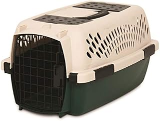 Petmate 21793 Ruffmaxx Travel Carrier Outdoor Dog Kennel, 360-degree Ventilation, 26", Green