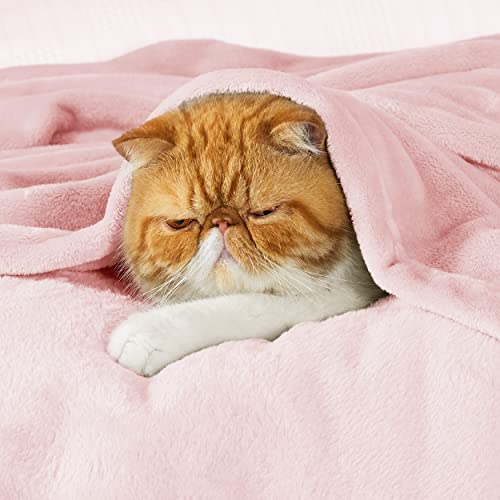 Image of Bedsure GentleSoft Bedding Fleece Blanket for Girls and Boys - Soft Cozy Cute Small Throw Blankets for Travel, 43x55 Inches, Pink