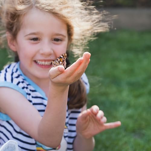 Insect Lore Butterfly Garden Kit – Live Caterpillar Habitat with Pre-Paid Voucher and Pop-Up Habitat– STEM-Accredited Butterfly Growing Kit for Kids, Classrooms, and Homeschool Learning - Image 3