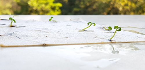 DEVRAAJ Eco Friendly White Plantable Mix Vegetables Seed Paper A5 size card with Envelope set of (300)