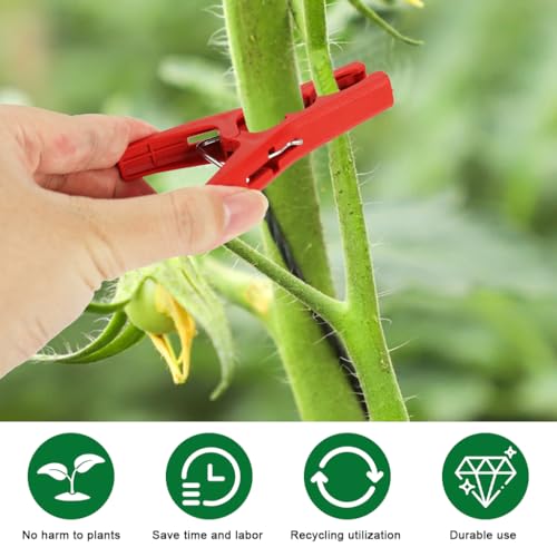 Image of HASTHIP 20Pcs Plant Clips, 3.5 inch Vine Support Clips Reusable Garden Plant Clips for Stems & Climbing Plants, Snap-On Clips for Trellis, Tomato, Orchid, and Vegetable Support