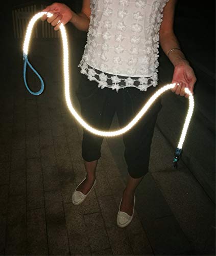 Mycicy Reflective Dog Leash 3Ft 4Ft 6Ft 10Ft, Heavy Duty Dog Leash Nylon Braided Strong Rope Dog Lead For Small Medium Large Dogs Walking Leash (Blue 6Ft) #TOP6