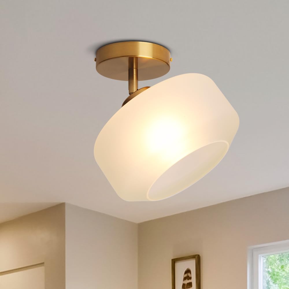 Sedelan Ceiling Light Fixture Semi Flush Mount Ceiling Light Fixture, Adjustable Kitchen Ceiling Light Flush Mount Ceiling Light Modern Ceiling Light for Dinning Room Bedroom Hallway