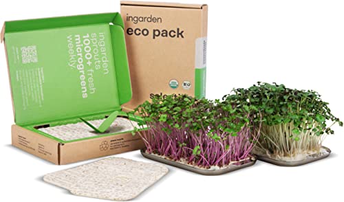 ingarden Microgreen Superfood Seed Pads | 100% orgánico | Totalmente cultivado en 1 semana | 2150% más denso en nutrientes que las verduras | Suministro de semillas de 1 mes | Mezcla de superalimentos Cover