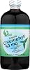 World Organic clorofila líquida menta - 50 mg - 16 fl oz 2