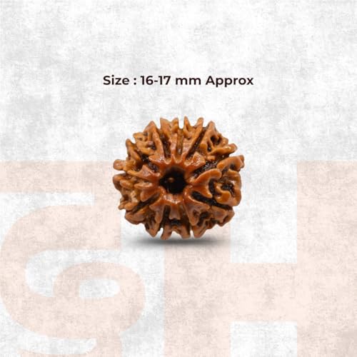 Image of Divine Hindu Original 10 Mukhi (Ten Face) Indonesia Rudraksha | Dus Mukhi Rudraksh Bead for Meditation, Protection & Spiritual Growth | Natural Rudraksha for Men & Women | Prayer Bead for Success