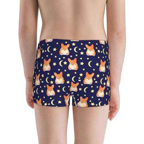 Boys' Cotton Boxer Brief Soft Underwear-Corgi Lying With Moons And Stars3