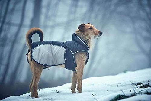 HUNTER UPPSALA EXTREME Hundemantel, Wintermantel, wasserabweisend, reflektierend, 25, schwarz/grau