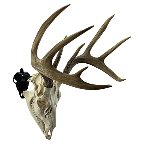 Herron Outdoors - Skull Wall Mount Hanger Hook (Whitetail) #TOP2