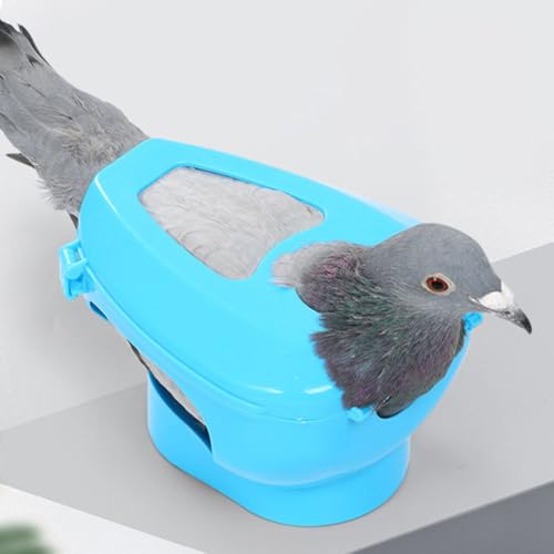 Râtelier fixe pour pigeons support de fixation alimentation remède oiseaux 6pcs
