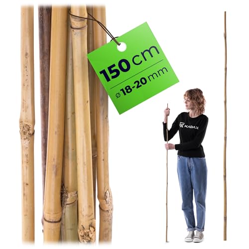 KADAX Bambusstäbe 150cm x 18/20mm, 25er Set, Pflanzstäbe aus Bambus, Bambusstangen als Rankhilfe für Tomatenpflanzen & Kletterpflanzen, Tomatenstäbe