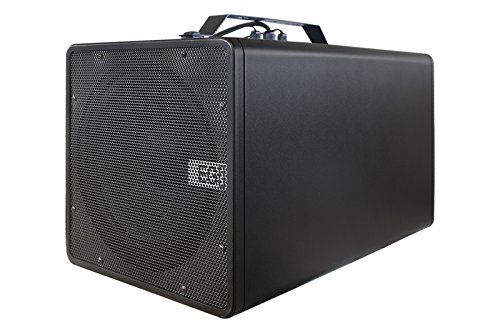 Egi Audio Solutions 06816 - Subwoofer Activo con Bluetooth de 10" (100 W de Potencia) Color Negro Cover