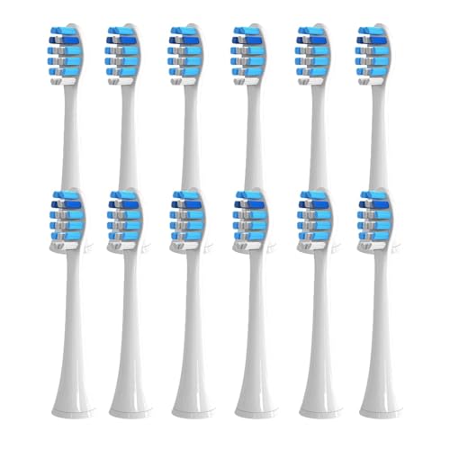 4-16�� �����p���u���V�w�b�h �v���[�N�f�B�t�F���X �d�����u���V�w�b�h ���u���V�u���V�w�b�h(12�u���[)