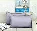 Jocoku 100% Mulberry Silk Pillowcases Set of 2 for Hair and Skin and Super Soft and Breathable Standard Size Nature Silk Pillowcases (Standard, Gray)