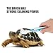 Toyvian 3pcs Turtle Shell Cleaning Brush Set with Mud for Aquatic Tortoises, Sturdy Plastic Turtle Shell Cleaner Tool for Reptile Hygiene and Aquarium Maintenance