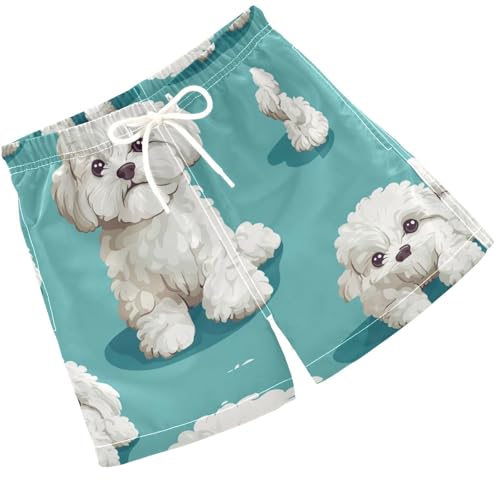 Pigsaly Boys' Swim Board Shorts Cartoon White Bichon Frize Dog Boy's Swim Trunks Kids Swimwear 5T