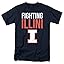 University of Illinois