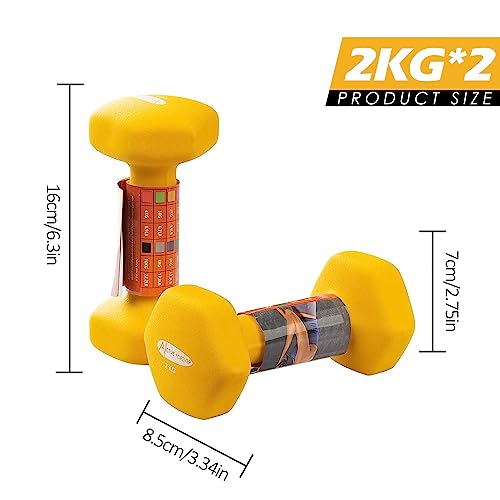 ACTIVE FOREVER Manubri esagonali (coppia), Manubri...