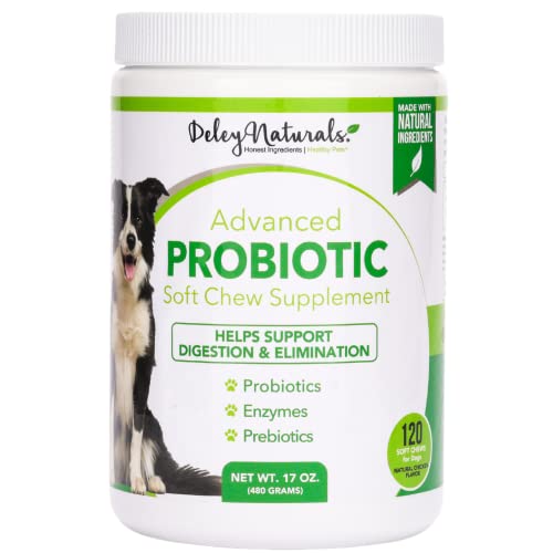 Probiotics for Dogs How Do They Work And Which Are The Best?