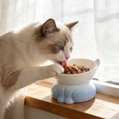 Gamelle céramique chat surélevée en lot de 2 finitions épurées