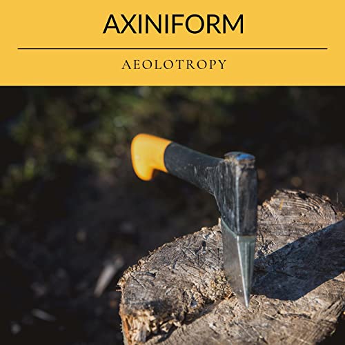  Surplus Value