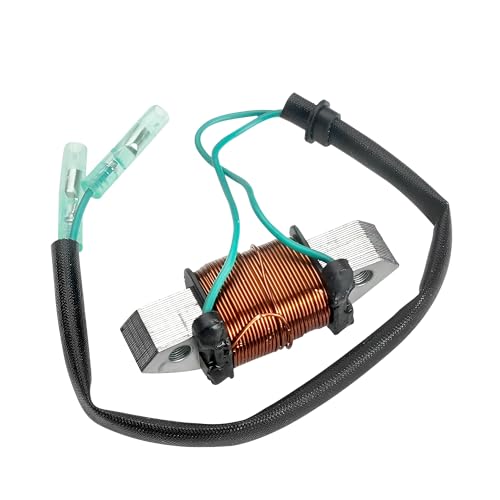 Bobine d'éclairage en panne ? Solution pour Yamaha 25HP 30HP 61N-81313